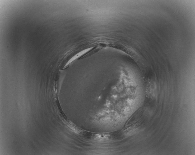 X0000058780573200510071612