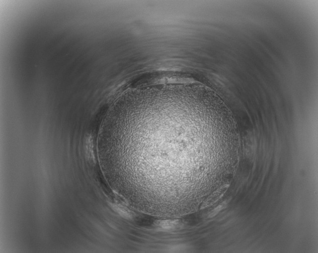 X0000058780575200510071612