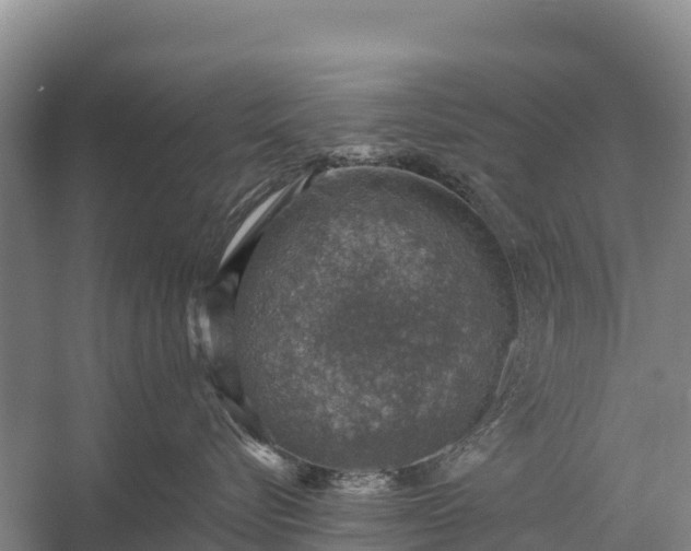 X0000058780576200510071612