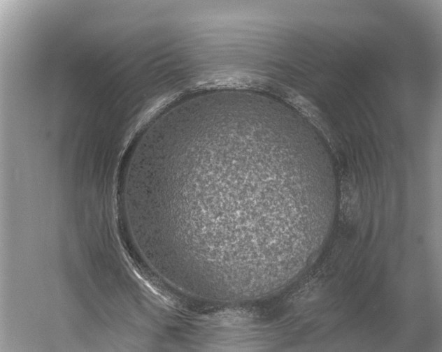 X0000058780578200510071611