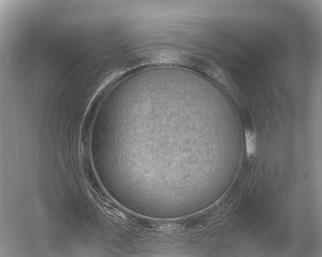 X0000058780579200510071611