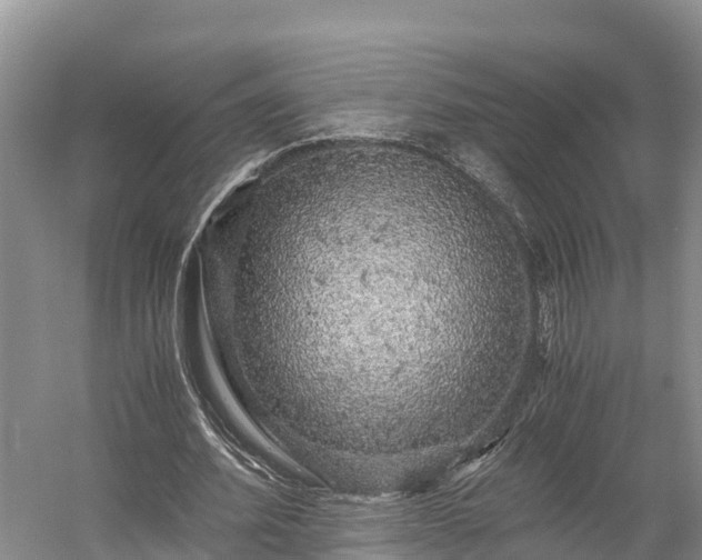 X0000058780580200510071611