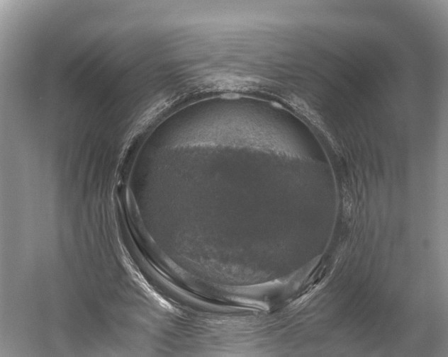 X0000058780581200510071611