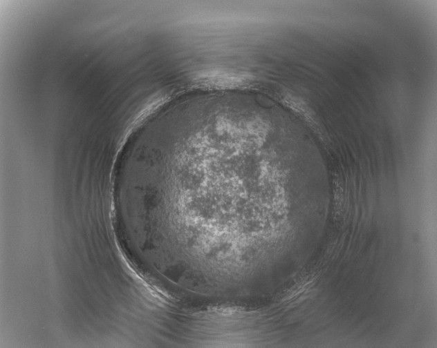 X0000058780582200510071611