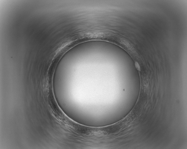 X0000058780583200510071611