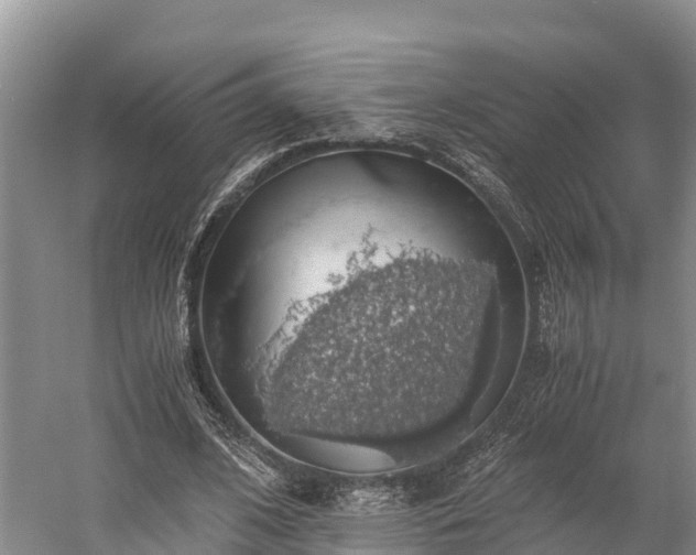 X0000058780584200510071611