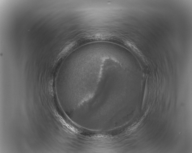 X0000058780585200510071611