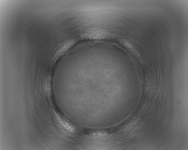 X0000058780586200510071611