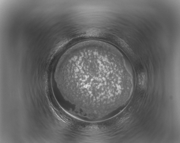 X0000058780588200510071611