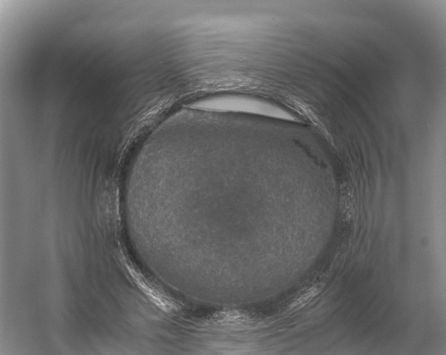 X0000058780589200510071611