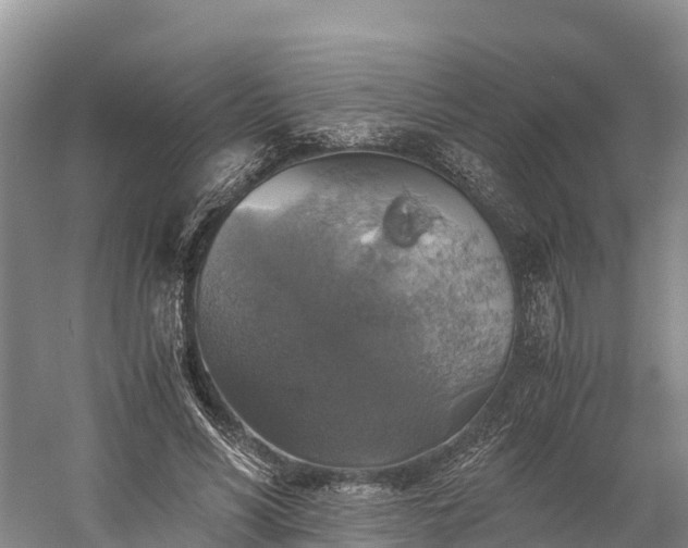 X0000058780590200510071611