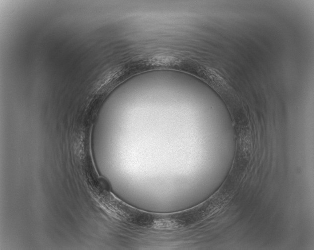 X0000058780591200510071611