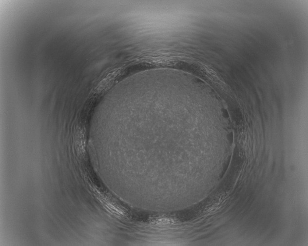 X0000058780593200510071611