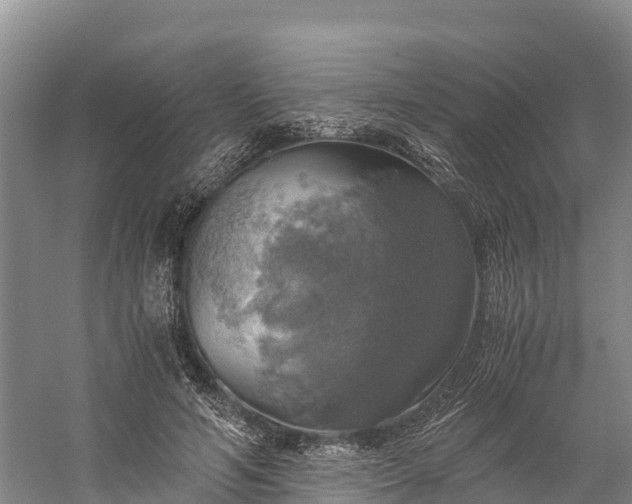 X0000058780594200510071611