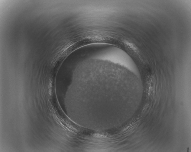 X0000058780596200510071611