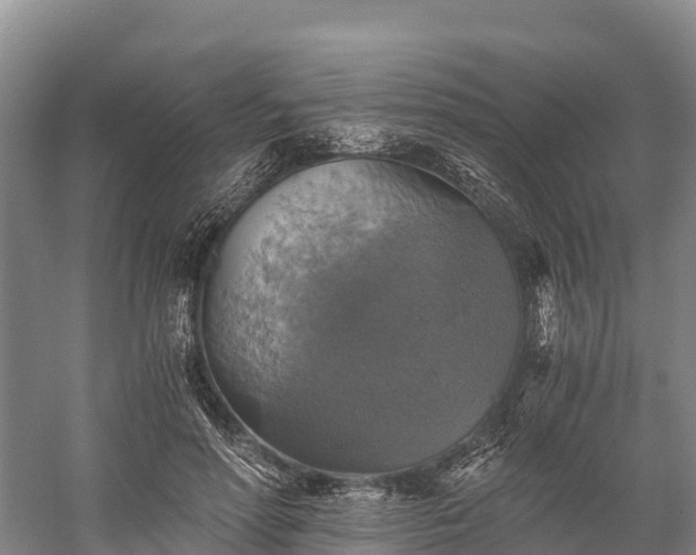 X0000058780598200510071611