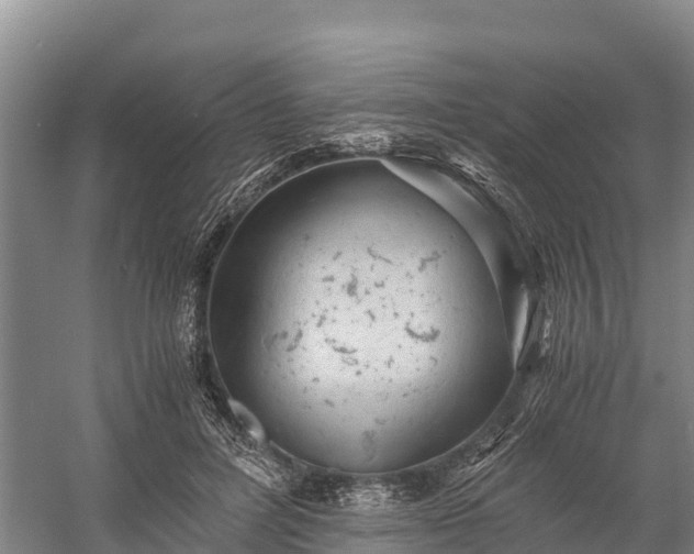 X0000058780600200510071611