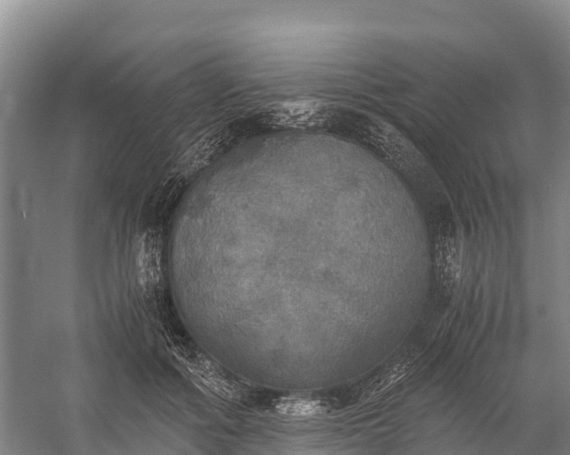 X0000058780602200510071611