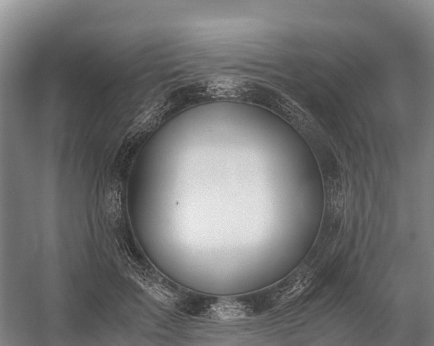 X0000058780603200510071611