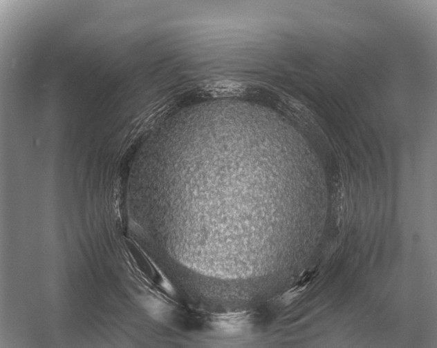 X0000058780604200510071611