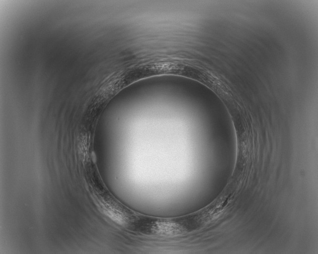 X0000058780605200510071611