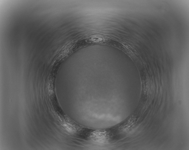 X0000058780606200510071611