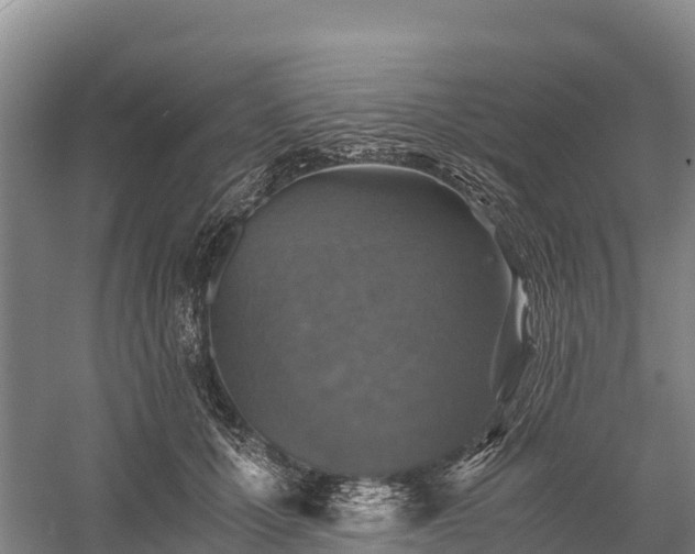 X0000058780607200510071610