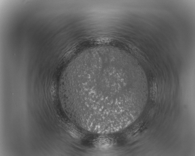 X0000058780608200510071610