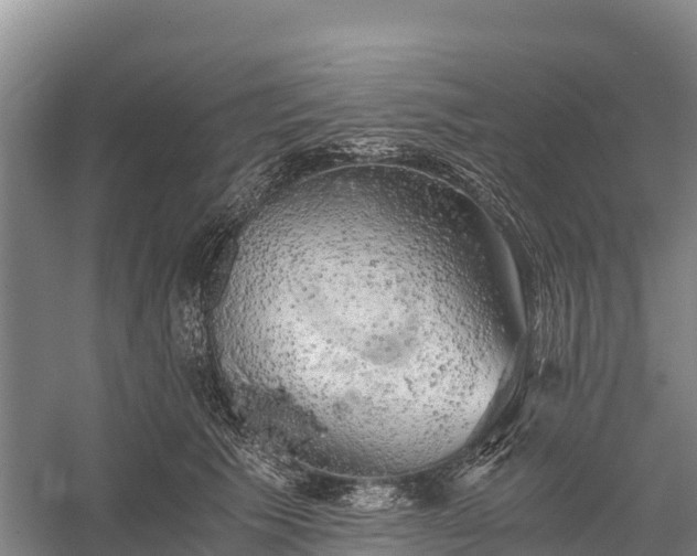 X0000058780609200510071610