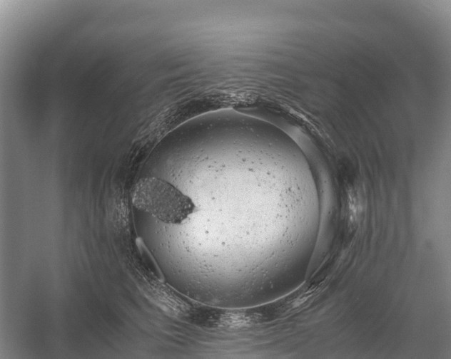 X0000058780613200510071610