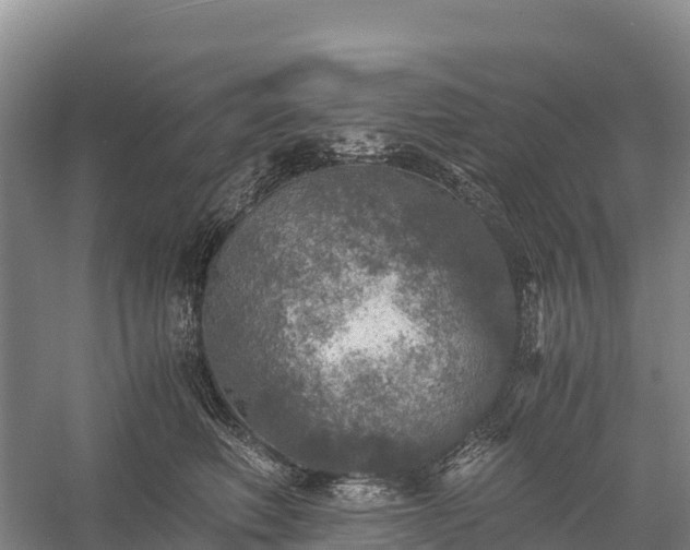 X0000058780614200510071610