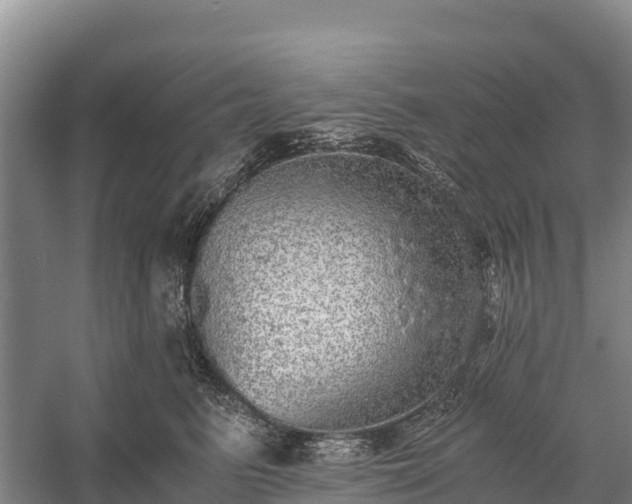 X0000058780615200510071610