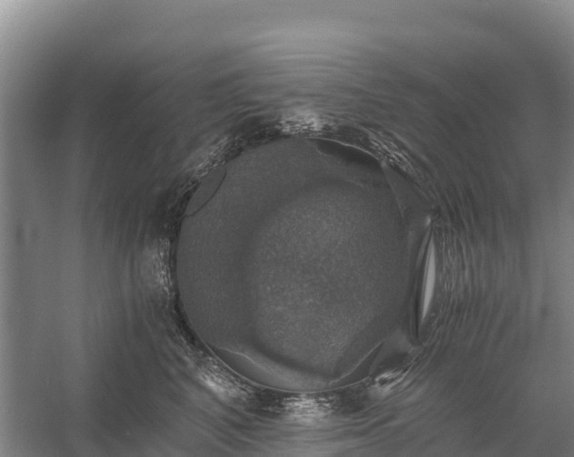 X0000058780616200510071610