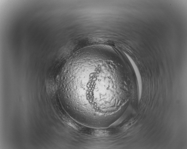 X0000058780617200510071610