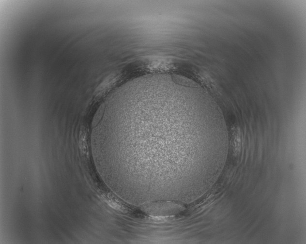 X0000058780619200510071610