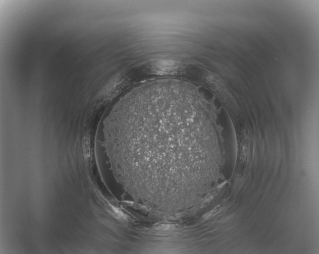 X0000058780620200510071610