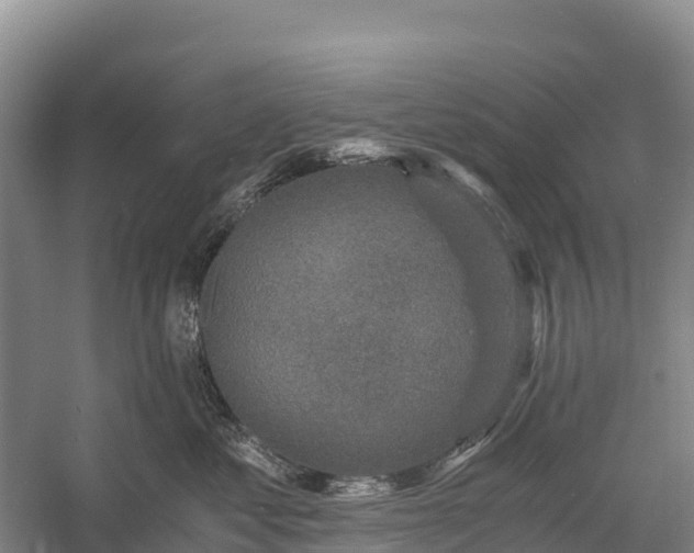 X0000058780621200510071610