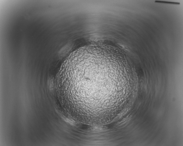 X0000058780623200510071610