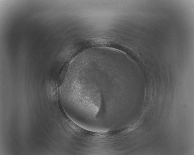 X0000058780624200510071610