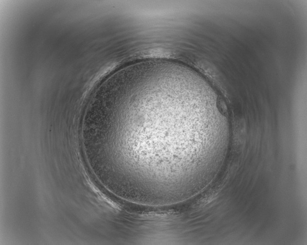 X0000058780625200510071609