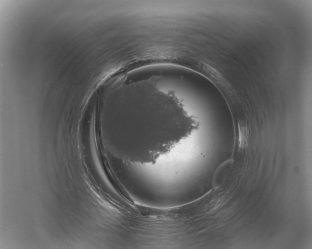 X0000058780627200510071609