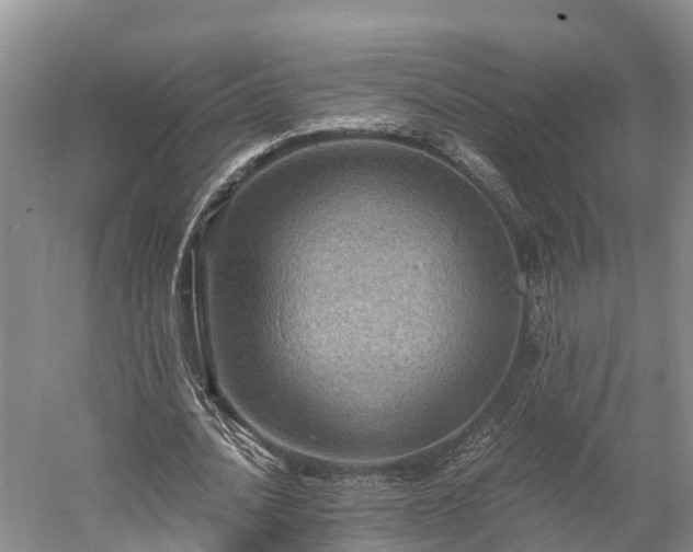 X0000058780628200510071609