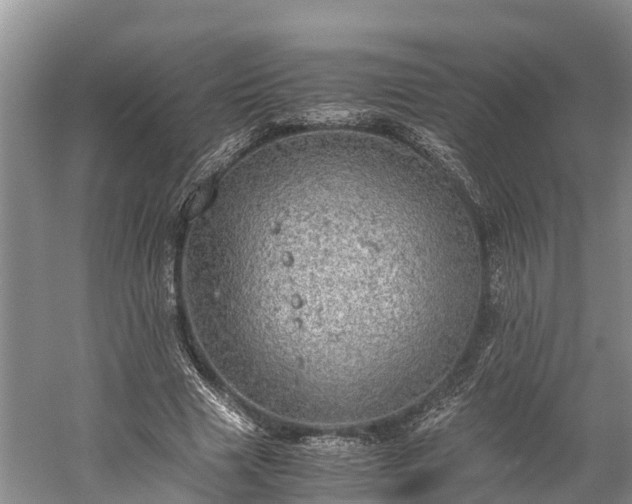 X0000058780633200510071610