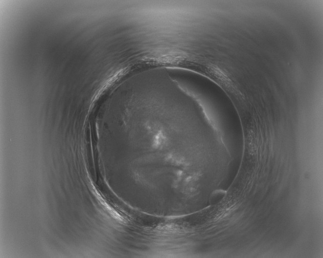 X0000058780634200510071610