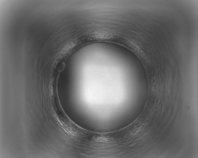 X0000058780635200510071610