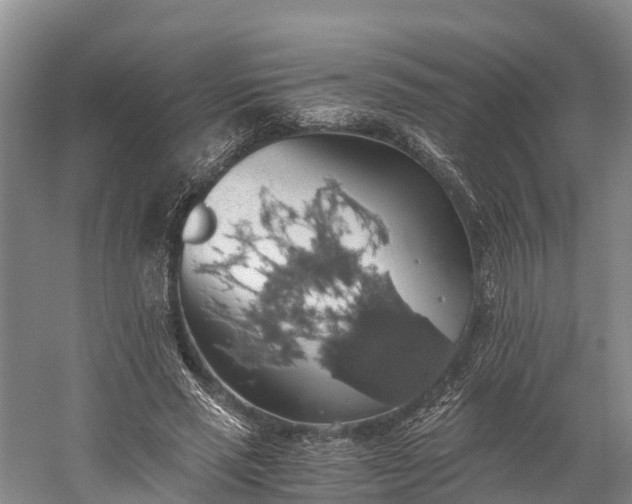 X0000058780637200510071610