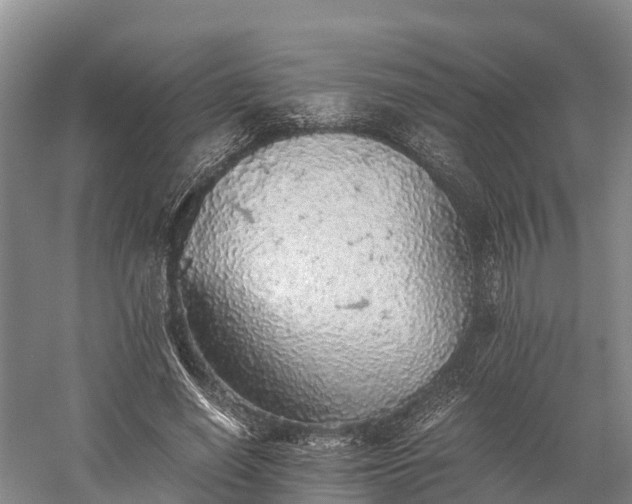 X0000058780638200510071610