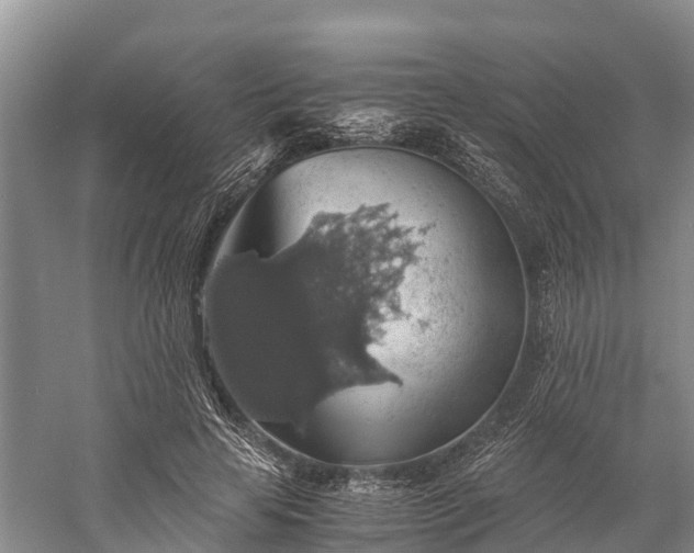 X0000058780641200510071610