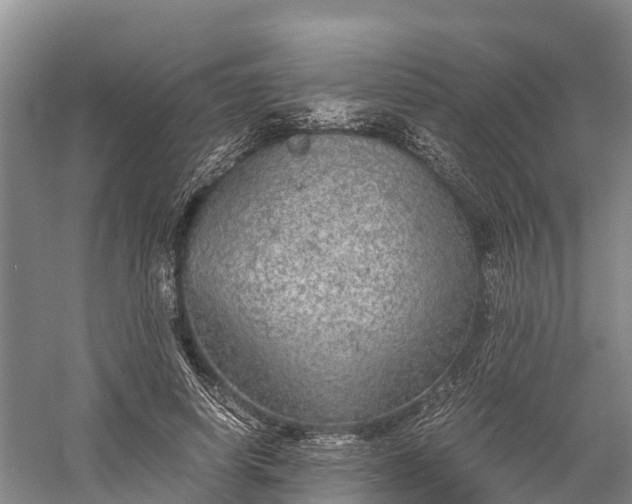 X0000058780642200510071610