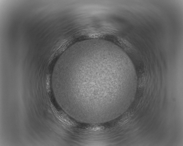 X0000058780646200510071610